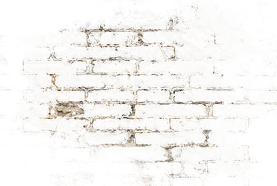 Bricks Texture
