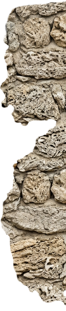 Bricks Texture